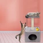 Ansamblu de joaca pentru pisici, cu loc pentru zgariat, ascuns, platforma, 62cm, gri Mob360 - imagine 4