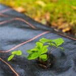 Folie agrotextil, mulcire, antiburuieni, filtru UV, 100 x 1.1metri, 70g/m2, negru Mob360 - imagine 7