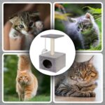 Ansamblu de joaca pentru pisici, cu loc pentru zgariat, ascuns, platforma, 62cm, gri Mob360 - imagine 7