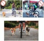 Lesa hands-free de caini pentru bicicleta, , Negru Mob360 - imagine 6