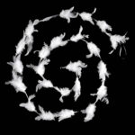 Ghirlanda pentru decor sau bradul de Craciun, model puf si pene, 200cm, alb Mob360 - imagine 2