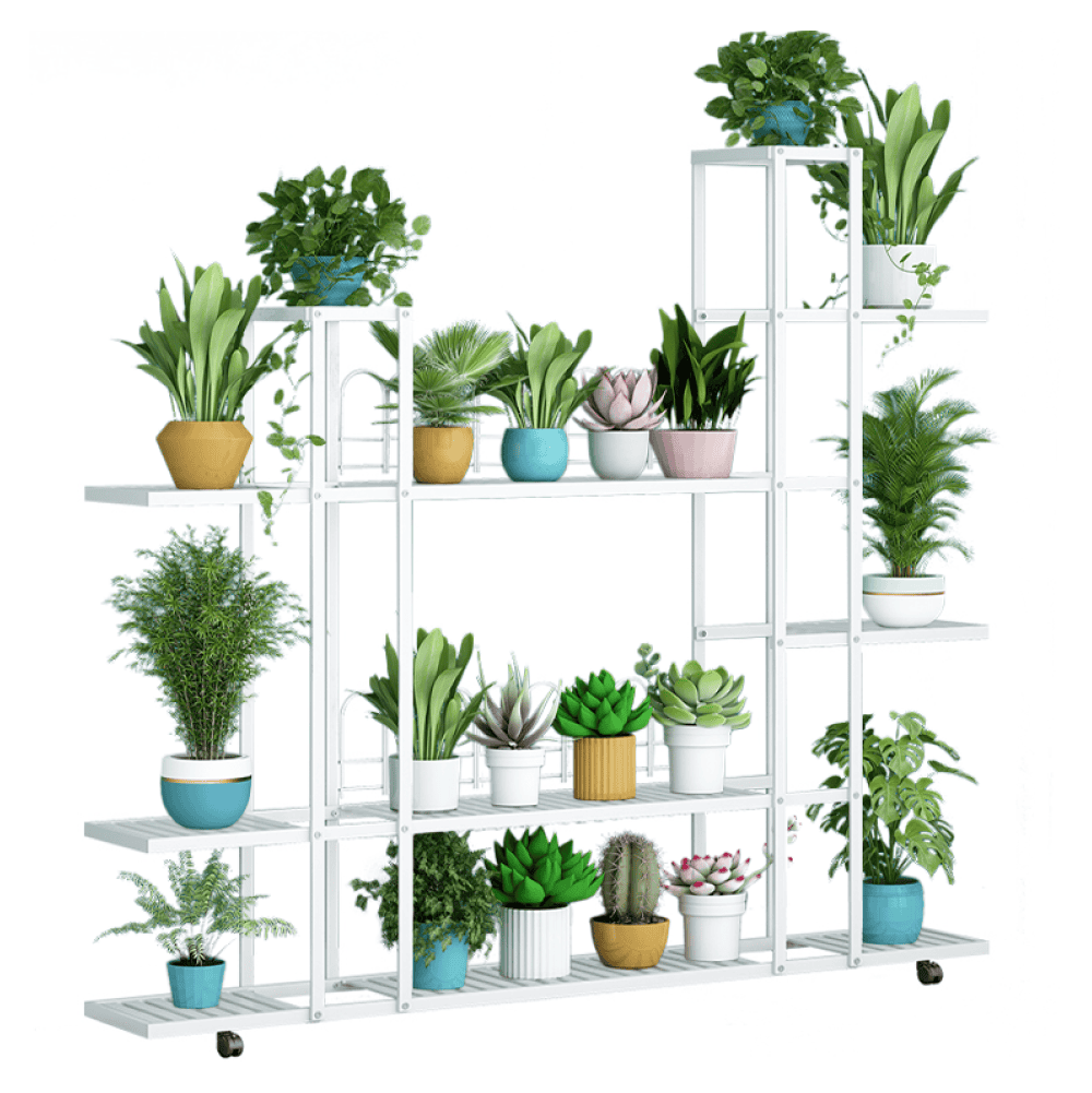 laskia-regal-01 Raft, alb, LASKIA - imagine 1