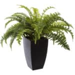 Planta artificiala Atmosphera feriga cu ghiveci, 55 cm, verde Mob360
