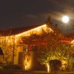 Instalatie luminoasa tip turturi LED exterior/interior, 500 LED-uri alb cald cu flash alb rece, 20 m, IP44, conectabila Mob360 - imagine 6